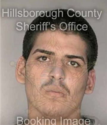 Timothy Connell, - Hillsborough County, FL 