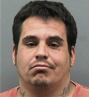 Juan Olascoagahernandez, - Hillsborough County, FL 