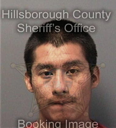 Michael Parnell, - Hillsborough County, FL 