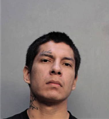 Mervin Perez-Barbosa, - Dade County, FL 