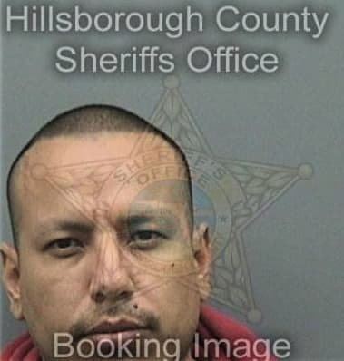 Jerry Pizarromarrero, - Hillsborough County, FL 