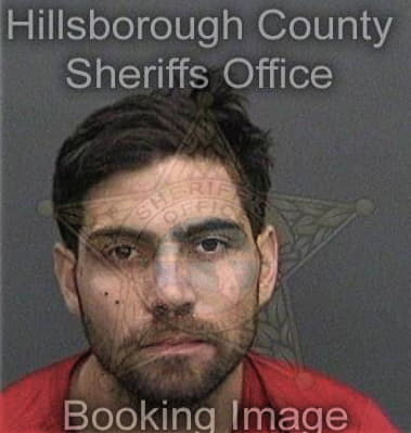 Alexander Richardson, - Hillsborough County, FL 