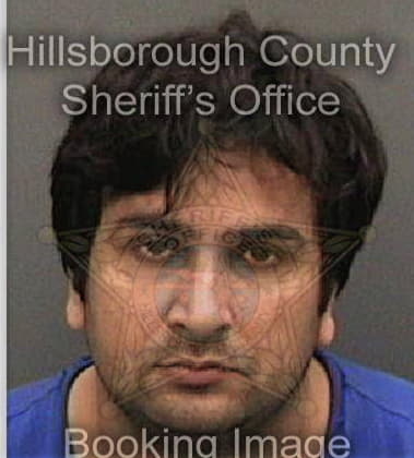 Brandon Shinawongse, - Hillsborough County, FL 