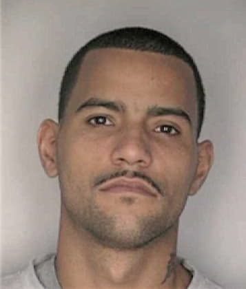 David Blewitt - Hillsborough County, FL 