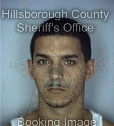Joseph Borrero - Hillsborough County, FL 