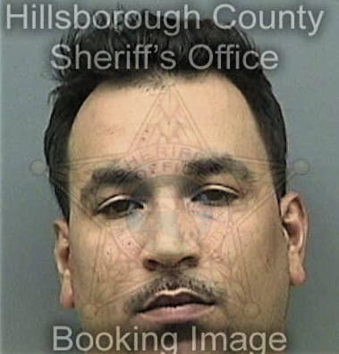 Shawn Briest - Hillsborough County, FL 