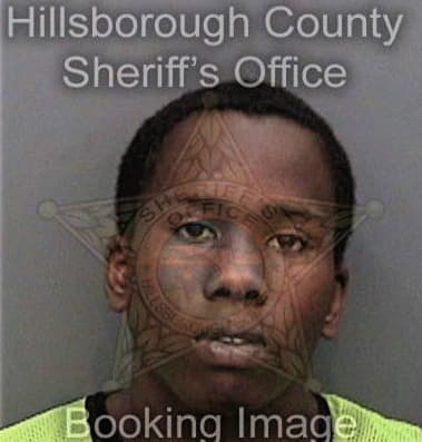 Atiun Hunter, - Hillsborough County, FL 