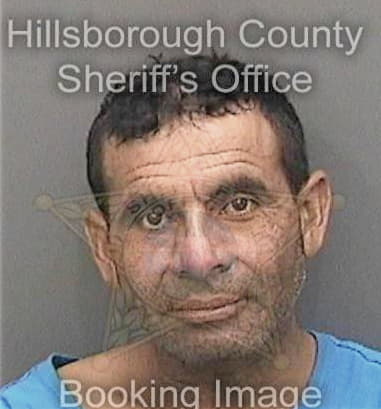 Nicolin Irizarry, - Hillsborough County, FL 