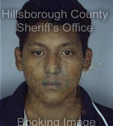 Arlos Mejia - Hillsborough County, FL 