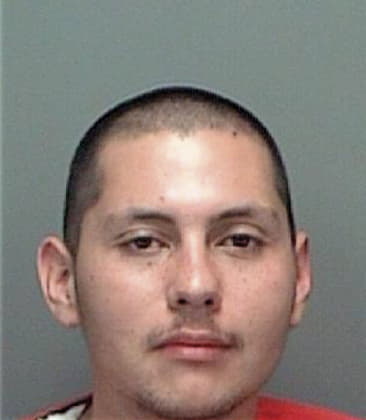 Carlos Navamartinez, - Pinellas County, FL 