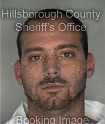 Carlos Santiago, - Hillsborough County, FL 