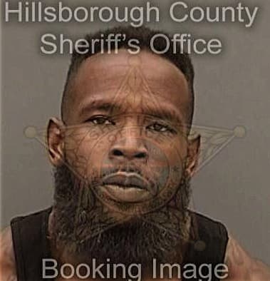 Demetrious Simmson, - Hillsborough County, FL 