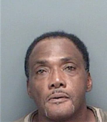 Raymond Villamil, - Pinellas County, FL 