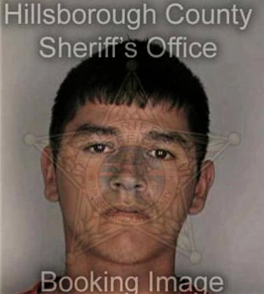 Thomas Borland - Hillsborough County, FL 