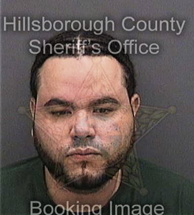 Francisco Correa, - Hillsborough County, FL 