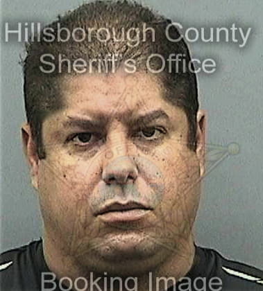 Christopher Gately, - Hillsborough County, FL 