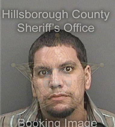 Christopher Harrelson, - Hillsborough County, FL 