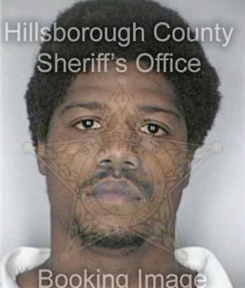 Ahmad Lewis, - Hillsborough County, FL 