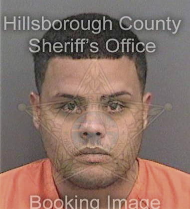 Norman McMahon - Hillsborough County, FL 