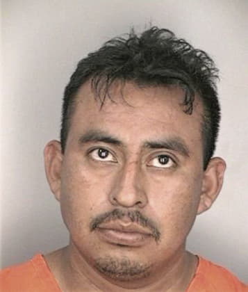 Daniel Mitchell - Hillsborough County, FL 