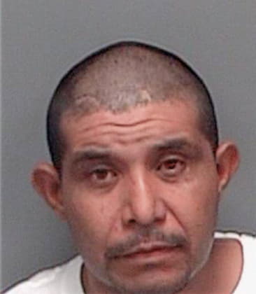 Luis Nunez, - Pinellas County, FL 