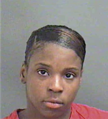 Brittany Evans, - Mecklenburg County, NC 