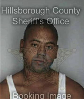 Gregory Facin, - Hillsborough County, FL 