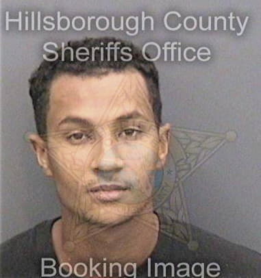 Damian Hatter, - Hillsborough County, FL 