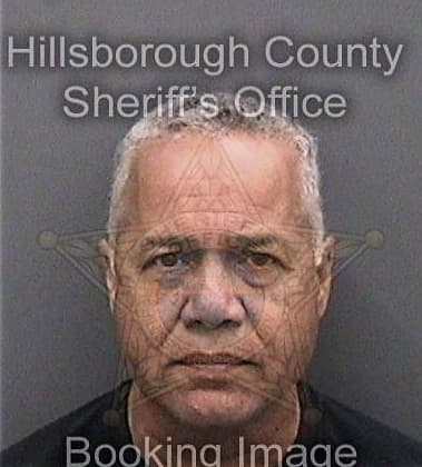 Steven Horelick, - Hillsborough County, FL 