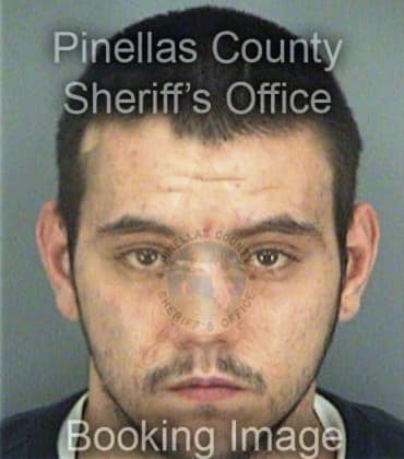 Anthony Nickerson, - Pinellas County, FL 