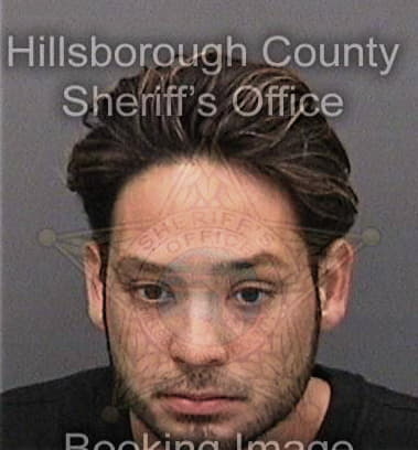 Evan Constantine, - Hillsborough County, FL 