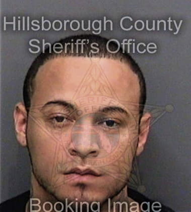 Fabian Garcia, - Hillsborough County, FL 