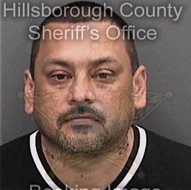 Fakher Guirguis, - Hillsborough County, FL 