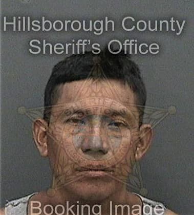 Evan Haynes, - Hillsborough County, FL 