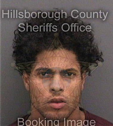 James Michaels - Hillsborough County, FL 
