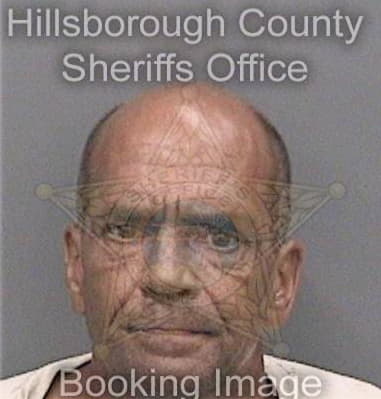 Kelly Miller - Hillsborough County, FL 