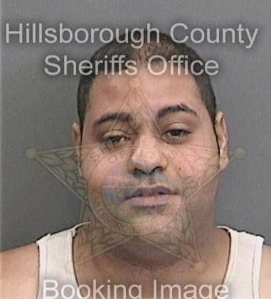 Ricardo Rodriguezurbina, - Hillsborough County, FL 