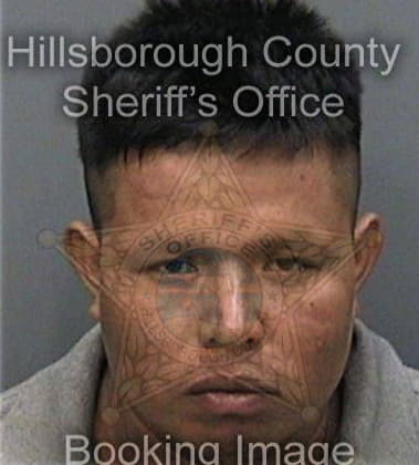 Joshua Roebuck, - Hillsborough County, FL 