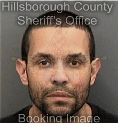Joseph Bogdanowicz - Hillsborough County, FL 