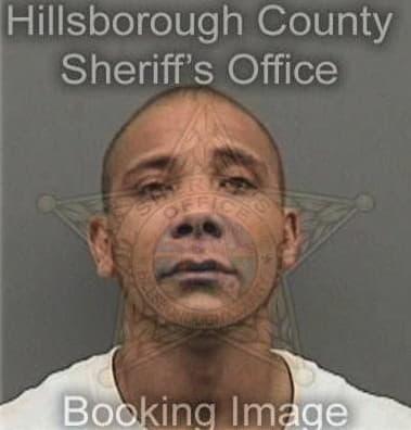 Michael Davis, - Hillsborough County, FL 