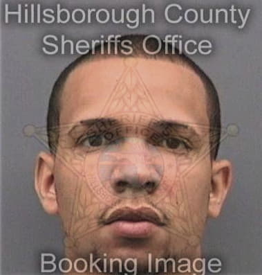 Allen Hicks - Hillsborough County, FL 