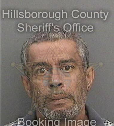 Andino Loyolahernandez, - Hillsborough County, FL 