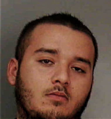 Vidal Pena, - Polk County, FL 