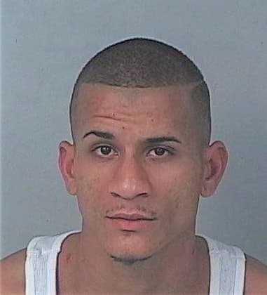 Damian Santiago - Hernando County, FL 