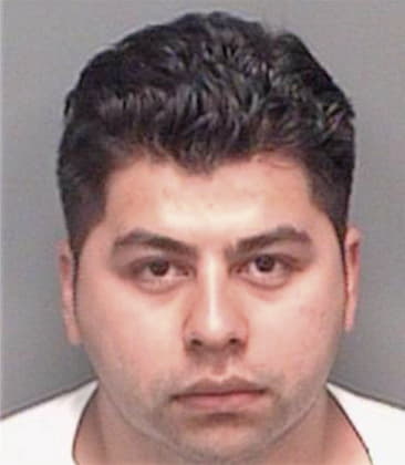 Armando Castro-Bautista, - Pinellas County, FL 