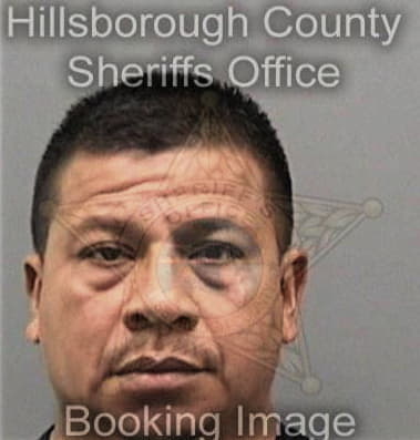 Jose Emmanuellireyes, - Hillsborough County, FL 