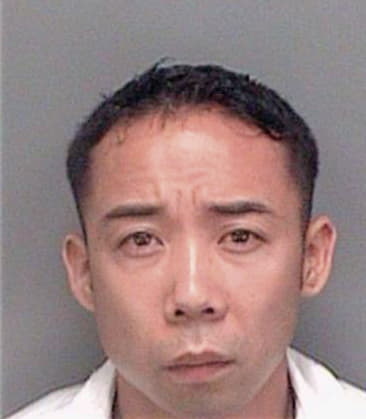 Nguyen Ly, - Pinellas County, FL 