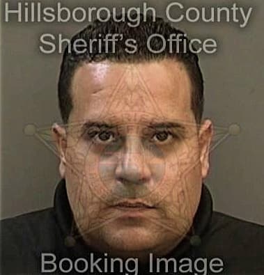 Luke Mills - Hillsborough County, FL 