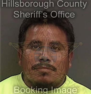 Carlos Ferrufinofiallos, - Hillsborough County, FL 