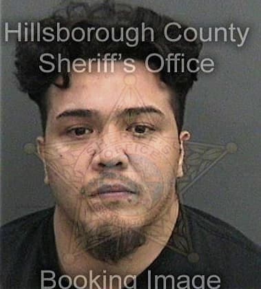 Alain Gamboa, - Hillsborough County, FL 